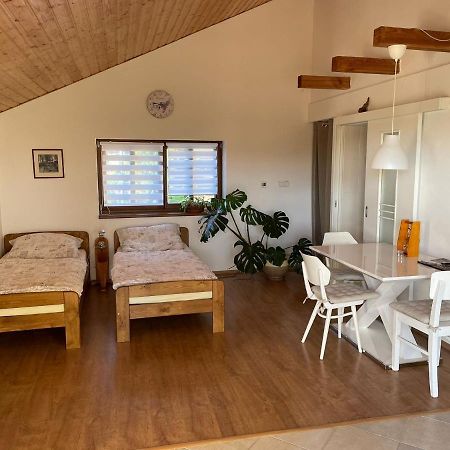 Apartman V Podhuri Jizerskych Hor Zelezny Brod Eksteriør billede