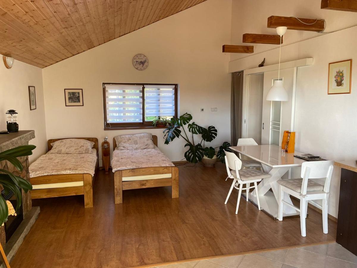 Apartman V Podhuri Jizerskych Hor Zelezny Brod Eksteriør billede